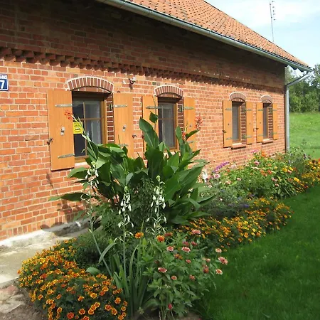 Pieczarki * Pieczarki