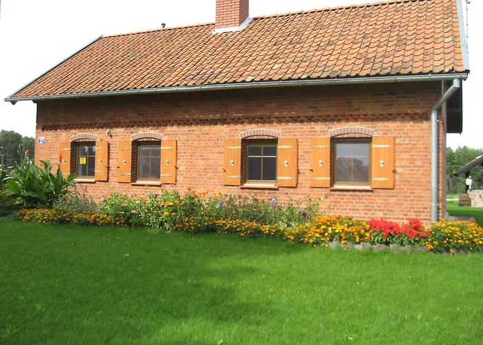 Pieczarki * Pieczarki